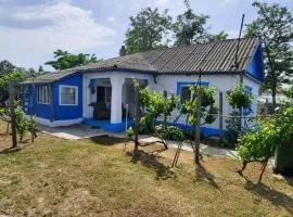 Traditional House in Danube Delta