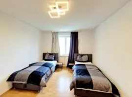 Cozy apartment in Auerbach, 55 m², mountain view