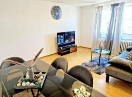 Spacious apartment Mannheim/Neckarau + balcony