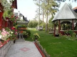 Vila Miris borova Zlatibor CENTAR