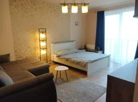 Central Apartment in Mihai Viteazu Square
