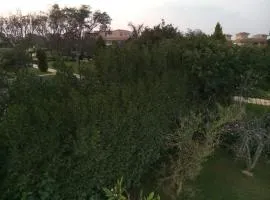 Luxurious, fully furnished and well-equipped Villa with modern amenities, stunning views, and convenient location for remote work or studying from home