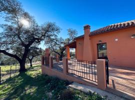 LOS PINOS DE NAVALFRESNO, chalet de montaña en Aracena