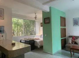 Studio with swimming pool at 12 m height over jungle