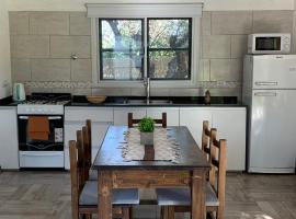 12 Olivos Caba&ntilde;as