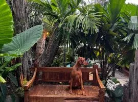 Beach Jungle - Pet-Friendly Hot Tub, Firepit & Pool in Beachside Hideaway