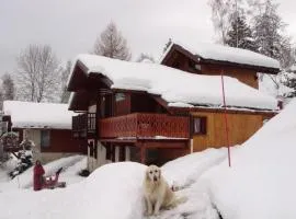 Beau chalet au départ des pistes - Chalet 6 pièces 12 personnes MAE-4869