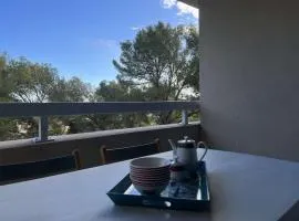 2 chambres, piscine, lave linge, lave vaisselle, parking, balcon, parking privatif