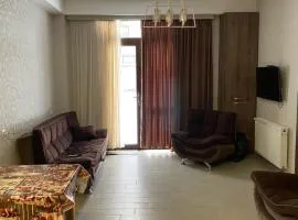 Trialeti Residence Apartment at Bakuriani