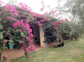 Casa Santina