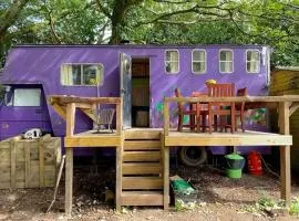 Camp Hillcrest Horsebox