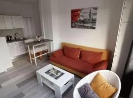 Apartment IVA