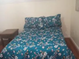 a nice one bedroom free parking