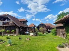 Janin Raj, cottage in Kragujevac