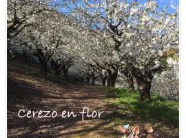 APTO RURAL FRAGARIA - VALLE DEL AMBROZ - entorno natural único "ALQUILER FAMILIAR", Wifi, netflix, aire acondicionado, calefacción, aparcamiento en la puerta