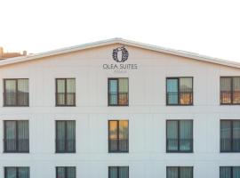 Olea Suites Otel, aparthotel v destinaci Gemlik