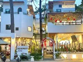 December Homestay & Coffee Măng Đen - only Vietnamese Guest
