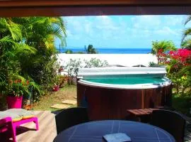 "Mi Plisi" appartement de charme vue mer jardin jacuzzi cuve 2 ch 2sdb