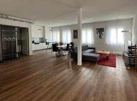 Grosse Einzimmerwohnung/Büro/Showroom, cheap hotel in Seengen