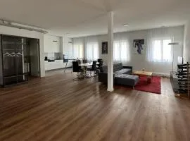 Grosse Einzimmerwohnung/Büro/Showroom