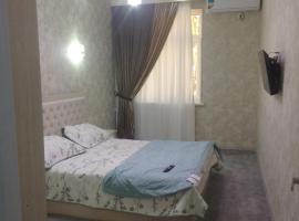 Apartment on Shahi Zinda, apartment in Samarkand