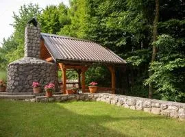 Holiday home in Lokve, Croatia 47707