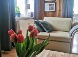 Mozaika Art Apartment PL LT EN, ubytování s možností vlastního stravování v destinaci Suwałki