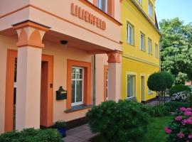 Penzion Valkoun-Lilienfeld, homestay in Karlovy Vary