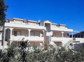 Apartments with a parking space Pakostane, Biograd - 22375