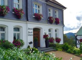 Pension Beste-Schnurbus, guest house in Schmallenberg