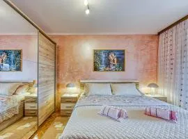 Apartment Cerin with Balcony