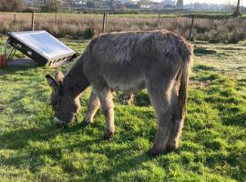 Casa da Avó Miquinhas, aldeamento turístico em Paços de Ferreira