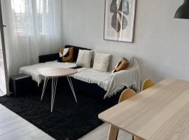 COSY F3 PROCHE CENTRE, hotel con parcheggio a Belfort