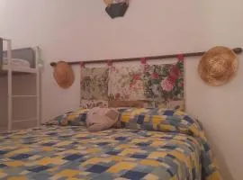 La Mimosa