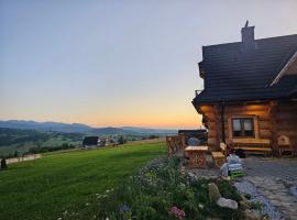 Mountain View Chalet with HotTub and Sauna, villa in Czerwienne