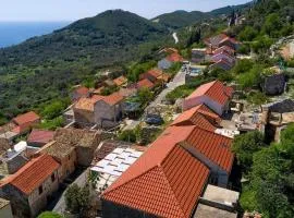 Holiday house with a parking space Babino Polje, Mljet - 22324