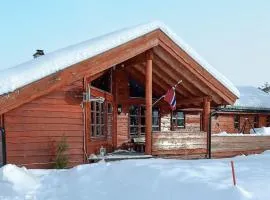 Amazing Home In Dalen With Wifi