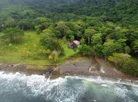 El Hongo Finca Hostal / Camping