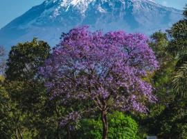 Kilimanjaro poa, hotel v mestu Moshi