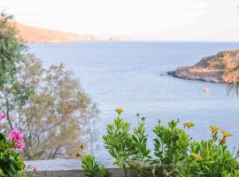 The cozy nest:), hotel in Batsi