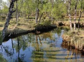 Kivakko Saariselän paratiisi