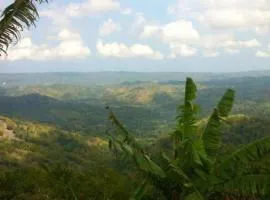 Andeve's tranquil beautiful home