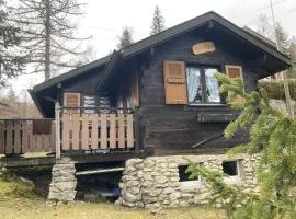 Entire cozy chalet in St-Cergue - 30 min from Geneva