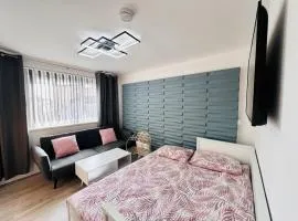 City Studio Apartment Swansea - Includes Free Parking