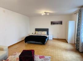 Apt near Basel Centre and Airport – luksusowy namiot 