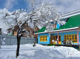 Conifer view guest house, B&B in Tangmarg