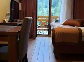 Apartments B229 & B230 in Aparthotel Vucko, Jahorina -private host