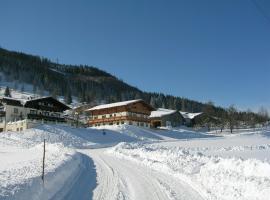 Sauschneid Hof, apartment in Taxenbach