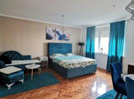 City Center Apartment JOTIC, holiday rental in Pirot