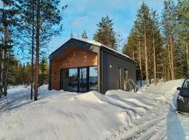 New cabin in Iso-syöte. Luokki 6